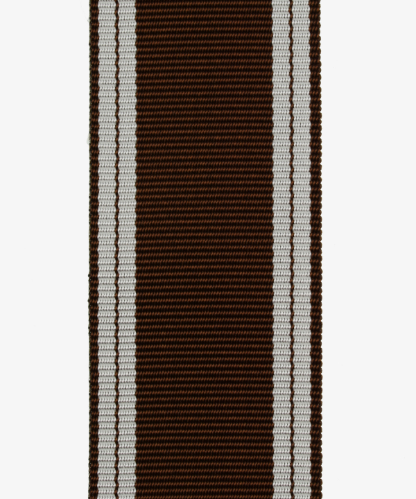 Deutsches Reich, Dienstauszeichnungen der NSDAP in Bronze (64)